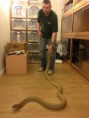 /album/pics/a1395327-10153462781500066-1126457587-n-jpg/